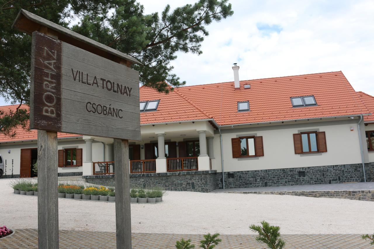 Villa Tolnay Vendeghaz Gyulakeszi Экстерьер фото