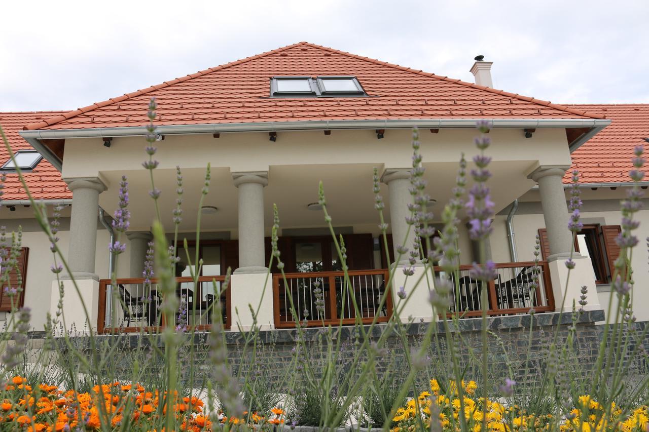 Villa Tolnay Vendeghaz Gyulakeszi Экстерьер фото